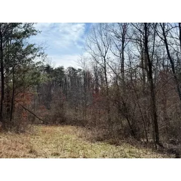 East Side State Route 335 Beaver OH 45613 Land