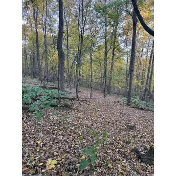 England Hollow Road Chillicothe OH 45601 Land