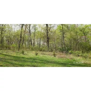 Oak Ridge Road Gallipolis OH 45631 Land