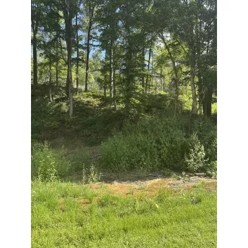 Pleasant Hill Road Waverly OH 45690 Land