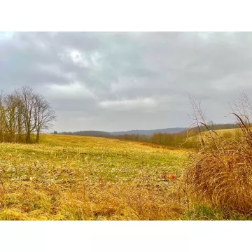 St. Rt. 772 Piketon OH 45661 Land