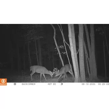 Zion Road Hamden OH 45634 Land